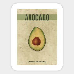 Avocado Watercolor Vintage Sticker